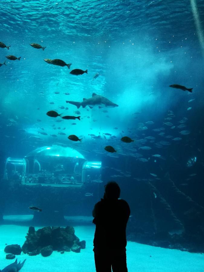 Las Canteras Aquarium Лас-Пальмас-де-Гран-Канарія Екстер'єр фото