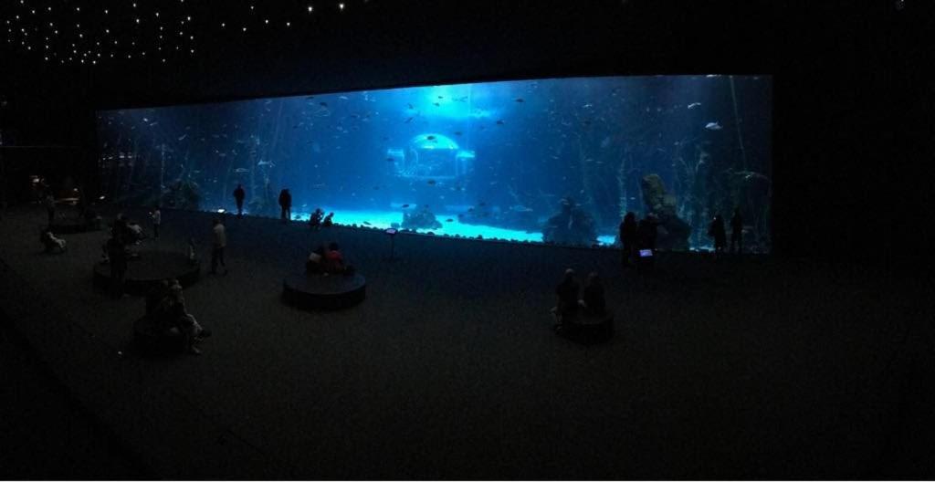 Las Canteras Aquarium Лас-Пальмас-де-Гран-Канарія Екстер'єр фото